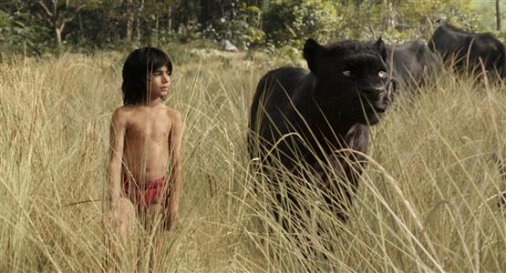 Experience <i>The Jungle Book</i> at Nu Metro’s 4DX cinemas 