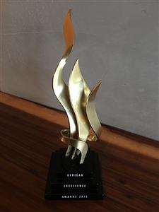 MetropolitanRepublic honoured at <i>African Excellence Awards</i>