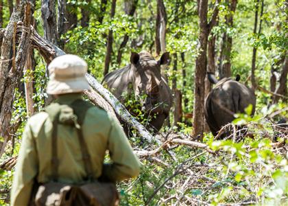 South African consumers raise over R2-million for rhino conservation