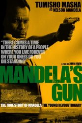 <I>Mandela’s Gun</I> examines a turbulent chapter of the Struggle
