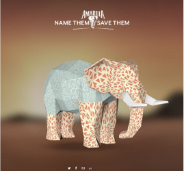 Amarula launches ‘Name Them Save Them’ campaign 