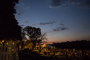 Picnics in the Park presents a Valentine's treat