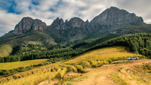 Lourensford announces the Autumn winners of its <i>Instagram</i> competition