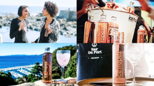 Stratitude develops a new website for Ice Tropez SA