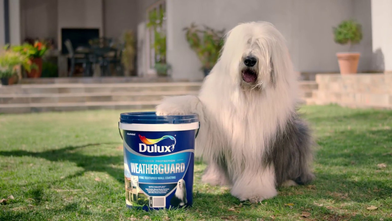 Grey South Africa s Dulux  TVC named Best Liked Ad  by 