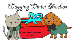 Mdzananda Animal Clinic launches its Wagging Winter Shoebox drive