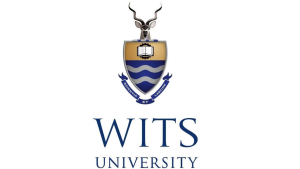 Wits LINK Centre and WitsX to offer a free online media course in October