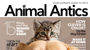 <i>Animal Antics</i>: ‘Pawfect’ for pet lovers