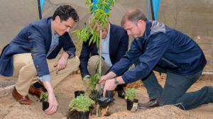 KLM Royal Dutch Airlines presents its 'Forest Of The Future' KLM Royal Dutch Airlines presents its 'Forest Of The Future'