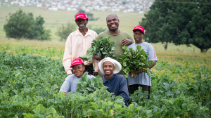 Shoprite partners with Kransvley Farmers' Cooperative