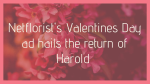 Netflorist's Valentines Day ad hails the return of Harold