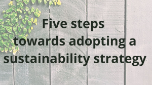 Five steps towards adopting a sustainability strategy