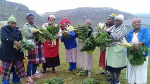 MAMAS Alliance launches its Community Market Gardens programme