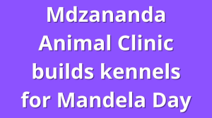 Mdzananda Animal Clinic builds kennels for Mandela Day