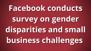 Facebook conducts survey on gender disparities and small business challenges