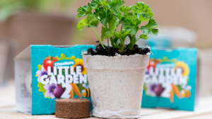 Checkers relaunches its Checkers Little Garden initative