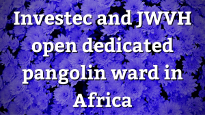 Investec and JWVH open dedicated pangolin ward in Africa