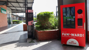 Royal Canin donates 100 000kgs of pet food to shelters