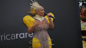 Plans announced for Africa's first Metaverse