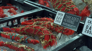 Ogilvy and Sea Shepherd launch ‘Catch of the Day 2050’ campaign