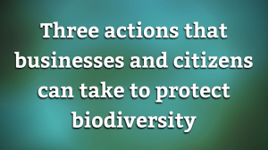 Three actions that businesses and citizens can take to protect biodiversity