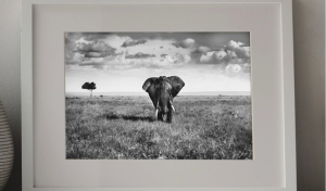 Machine_ launches its 'Machine_67 x Blackboard' campaign