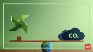 Carbon neutral versus net zero: the difference — in 200 words or less