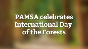 PAMSA celebrates International Day of the Forests