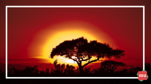 What Africa Month is and how to post about it — in 200 words or less