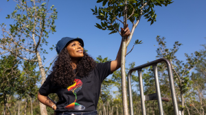 Nomzamo Mbatha and Cotton On Foundation plant trees