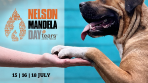 TEARS Animal Rescue appeals for supporting vulnerable pets on Mandela Day