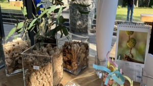 Forest and paper industry’s roundtable asserts the sector’s role in greener products