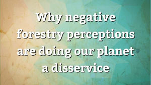 Why negative forestry perceptions are doing our planet a disservice