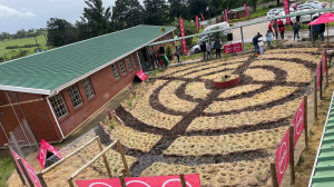 Groutville High School learners receive sustainable food garden from Absa
