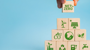 Kimberly-Clark harnesses circular economy to transform waste management