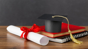 Shell expands bursary programme