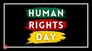 Celebrating Human Rights Day on social media [Infographic]