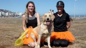 Over 300 paws to walk the Sea Point promenade