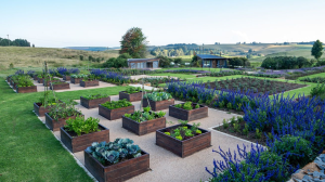 Four proven and implementable strategies to living green