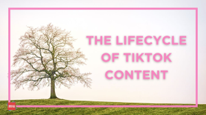 The lifecycle of TikTok content [Infographic]