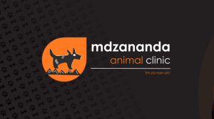 Mdzananda Animal Clinic Hosts Seventh Kennel-Building Event