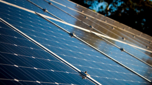 Decarb.earth Announces Impact Carbon Standard Validation