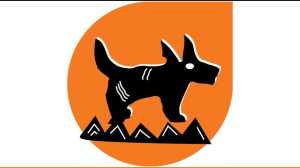 Mdzananda Animal Clinic Calls for Urgent Donations