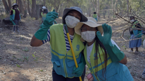 ASEZ WAO Activists Remove Invasive Plants and Trees at Golden Harvest Park