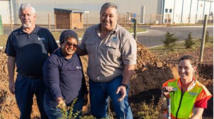 Woodlands Dairy and Kouga Municipality Plant Trees for Arbour Week