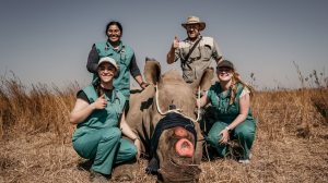 Hands-On Rhino Conservation: Learning at the Frontlines