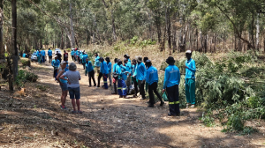 ASEZ Volunteers Continue Restoration Plan at Golden Harvest Park