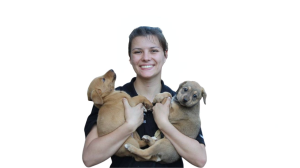 <i>Jacaranda FM's Good Morning Angels</i> Donates R50 000 to Rural Veterinary Clinic