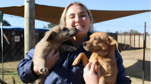 <i>Jacaranda FM's Good Morning Angels</i> Supports SPCA RandWest