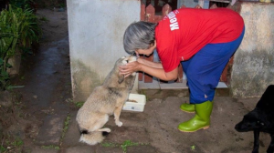 4 Paws and a Tale Rescue Pleas for Urgent Public Support